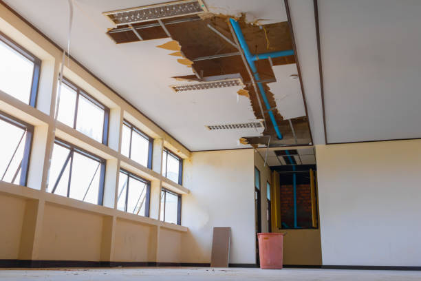 Best Local water damage restoration  in Ceres, CA