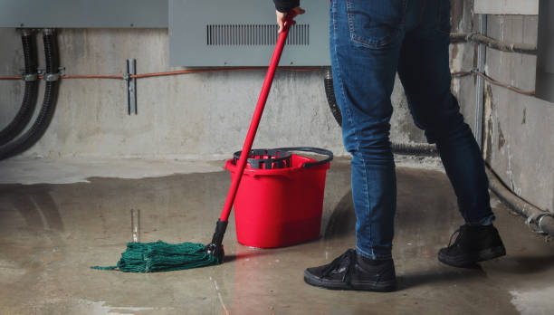 Best Water damage cleanup near me  in Ceres, CA