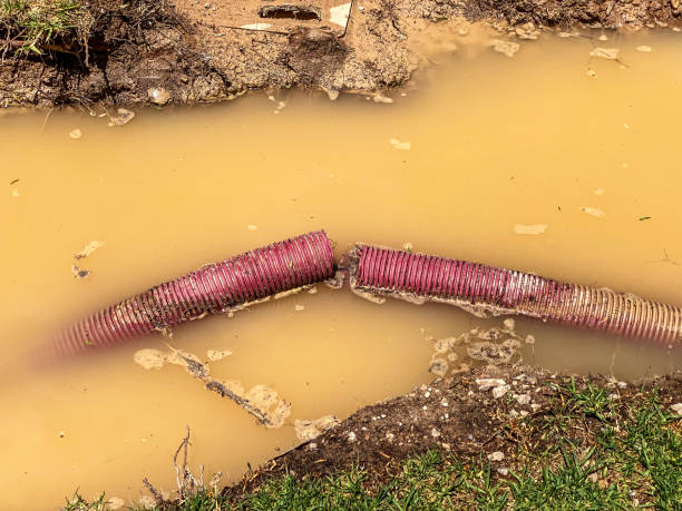Best Water damage restoration near me  in Ceres, CA