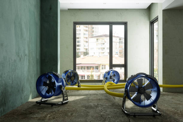 Best Mold removal after water damage  in Ceres, CA