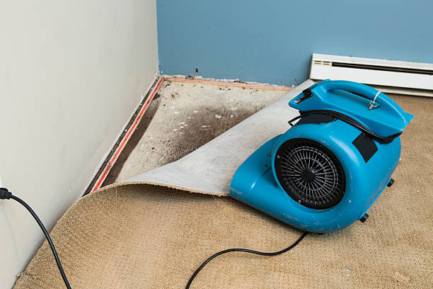 Fire Damage Restoration in CA