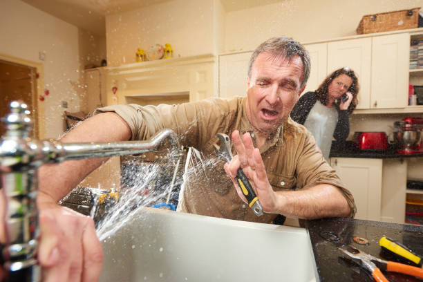 Best Mold removal after water damage  in Ceres, CA